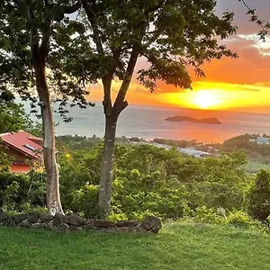 https://ayounaka.comcaribbean.com